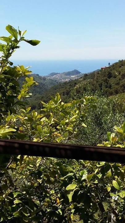 Agriturismo Osteria Du Barba Pe' - Casa Cassini ボルディゲーラ エクステリア 写真